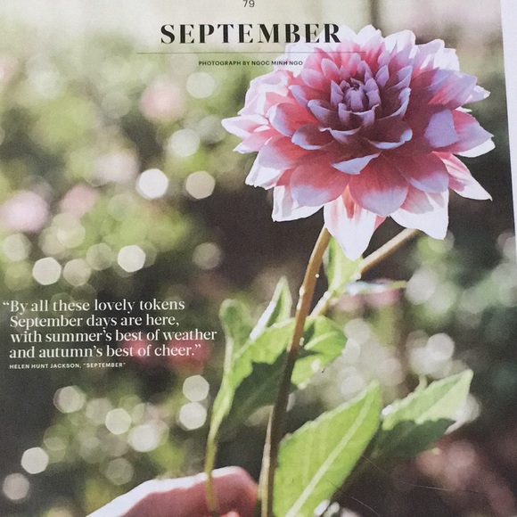 CHAT POST My style from poshmark - Picture 10 of 16